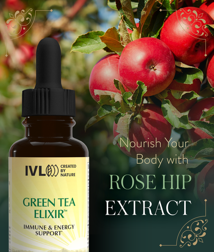 Load image into Gallery viewer, Green Tea Elixir