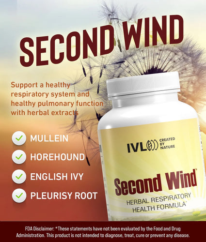 Load image into Gallery viewer, Second Wind