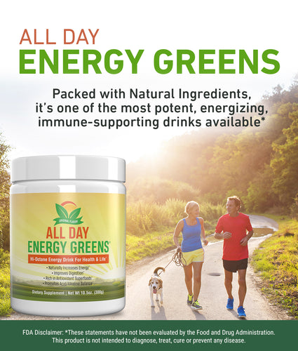 Load image into Gallery viewer, IVL - All Day Energy Greens - Hi-Octane Energy Drink For Healthy Lifestyle With Great Taste (Original, 1 Can)